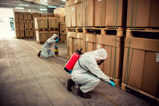 Best Best Pest Control Companies  in Trinity, AL