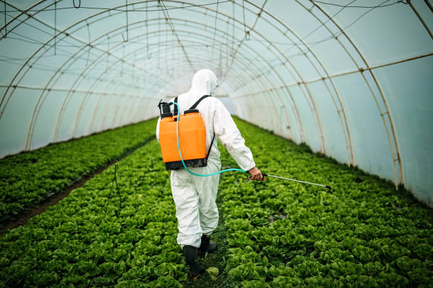Best Pest Prevention Services  in Trinity, AL