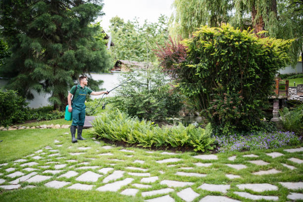 Professional Pest Control in Trinity, AL