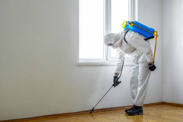 Best Cockroach Control Services  in Trinity, AL