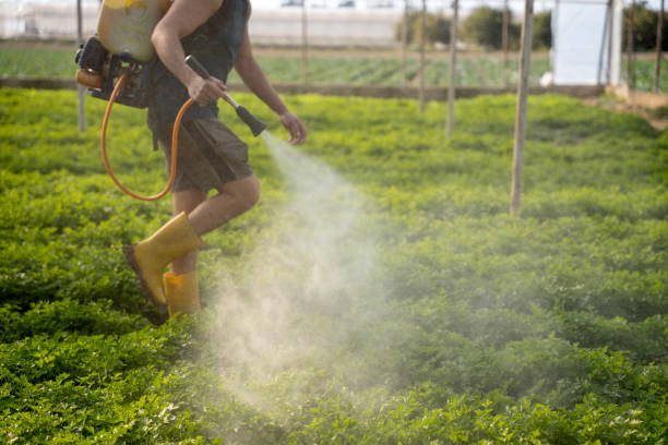 Best Pest Prevention Services  in Trinity, AL