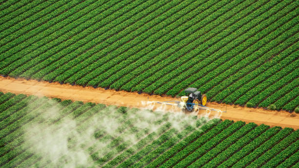 Best Pest Control Near Me in Trinity, AL