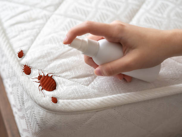 Best Best Pest Control Near Me  in Trinity, AL