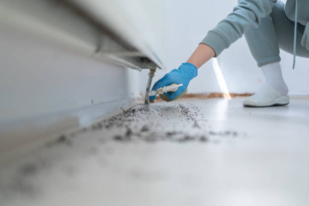 Best Commercial Pest Control Services  in Trinity, AL