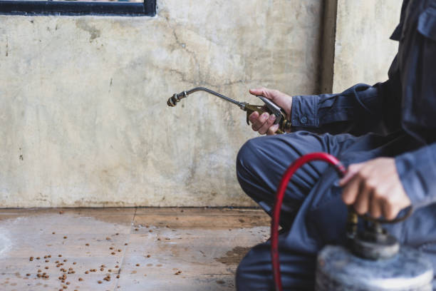 Best Termite Control Services  in Trinity, AL