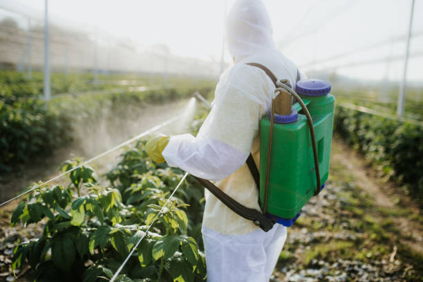 Best Pest Inspection Near Me  in Trinity, AL